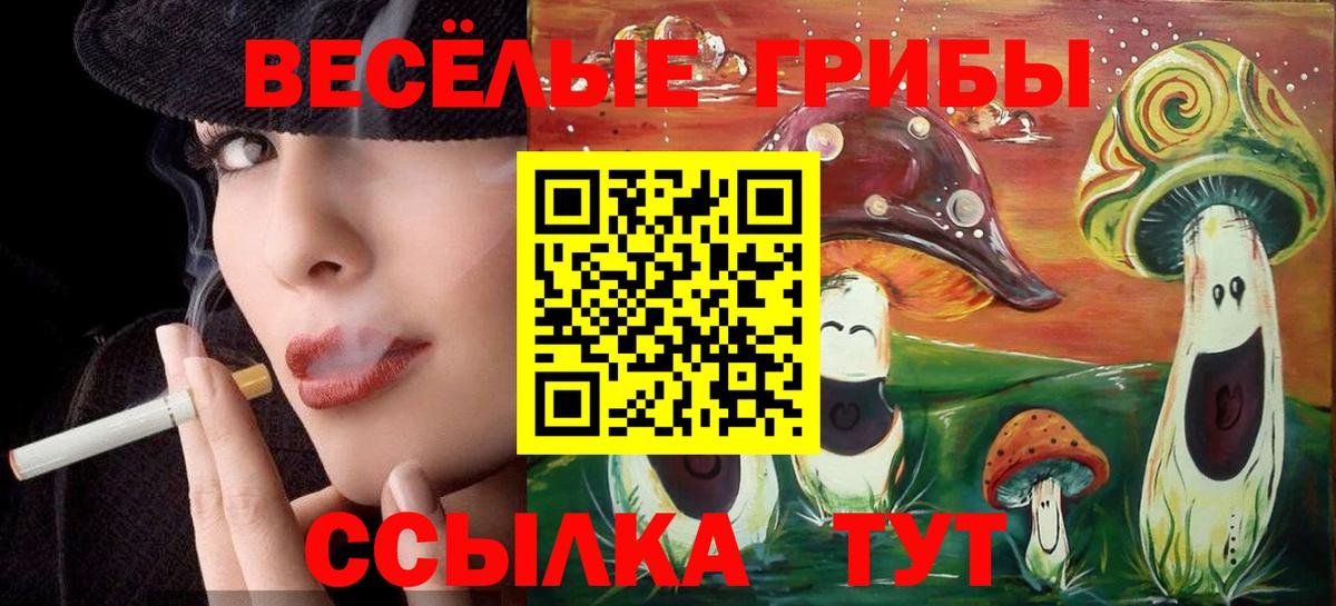 Галлюциногенные грибы GOLDEN TEACHER  Псилоцибиновые грибы Magic Shrooms  Калуга  Вход с VPN 