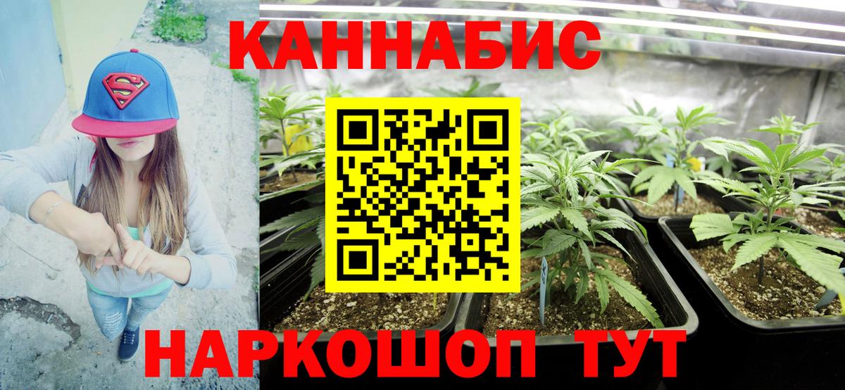 Калуга  Канабис сатива  Марихуана MAZAR  Марихуана индика  Канабис White Widow  Вход с VPN 